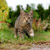 Finał X edycji konkursu fotograficznego Zwierzęta duże i małe